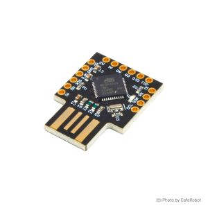 برد آردوینو لئوناردو مینی